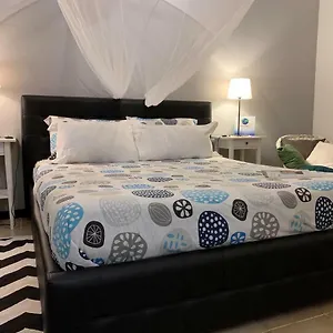 https://la-rosa-volante.hotelitalianriviera.com